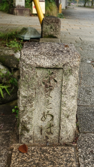 大堰川千鳥ヶ淵　No6