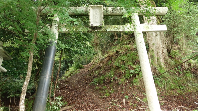 大堰川千鳥ヶ淵　No12