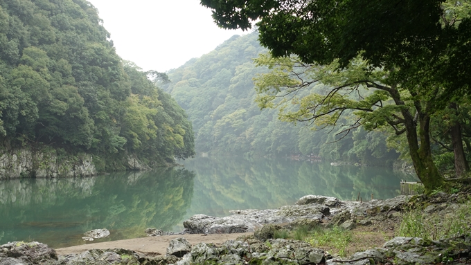 大堰川千鳥ヶ淵　No17