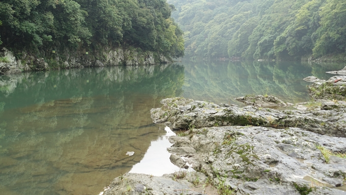 大堰川千鳥ヶ淵　No19