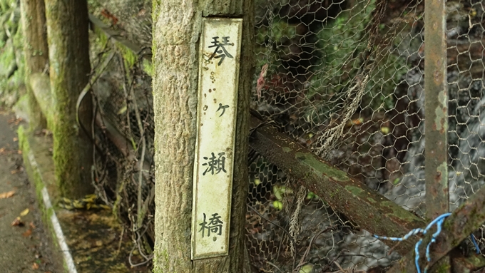 大堰川千鳥ヶ淵　No18