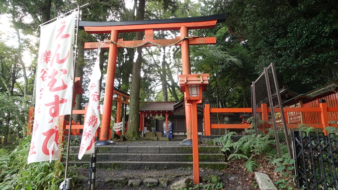 櫟谷宗像神社　裏口