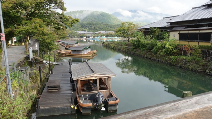 大堰川千鳥ヶ淵　No4