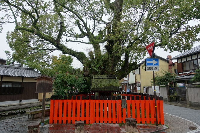 藤木神社　No6