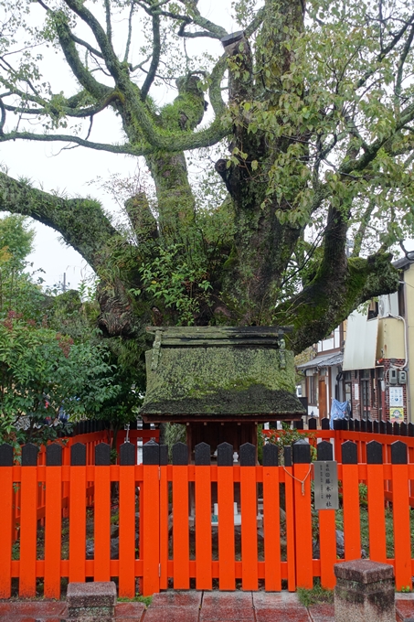 藤木神社　No8