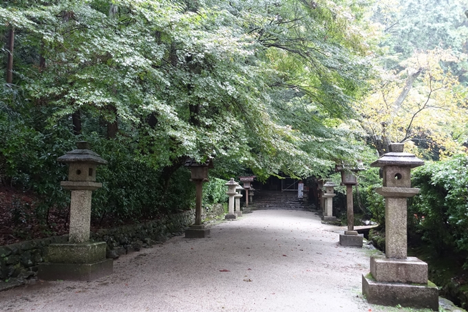 大田神社　No7