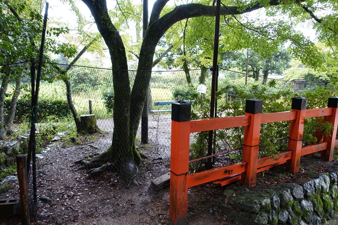 大田神社　No18