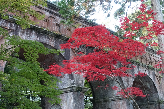 京都紅葉速報05　No4