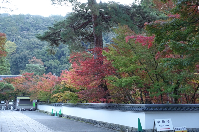 京都紅葉速報05　No17