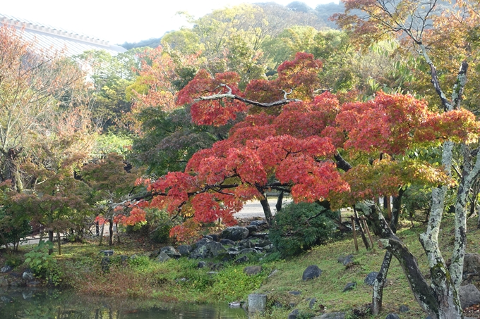 京都紅葉速報_06　No26