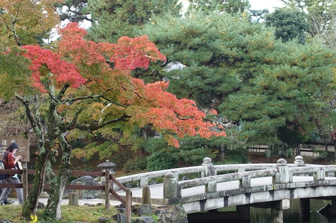 京都紅葉速報_06　No28