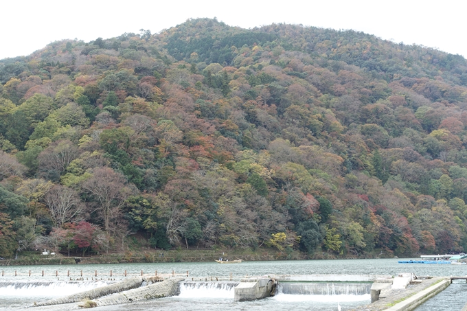 京都紅葉速報_08　No3