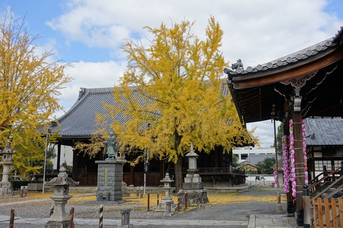 頂妙寺　No7