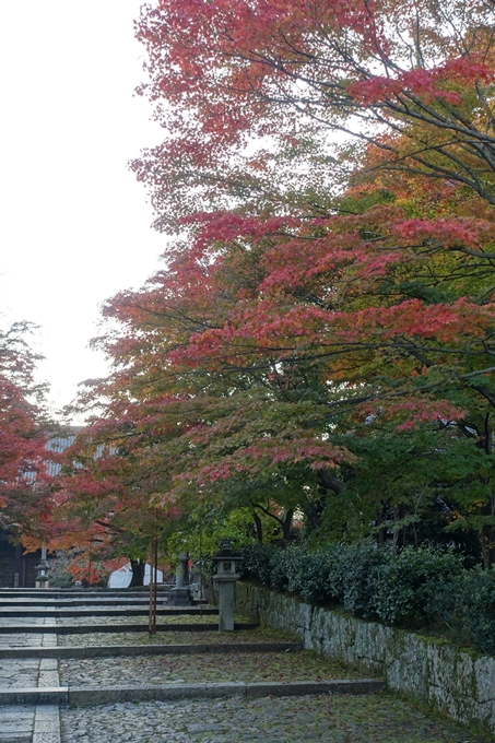 京都紅葉速報_10　No30