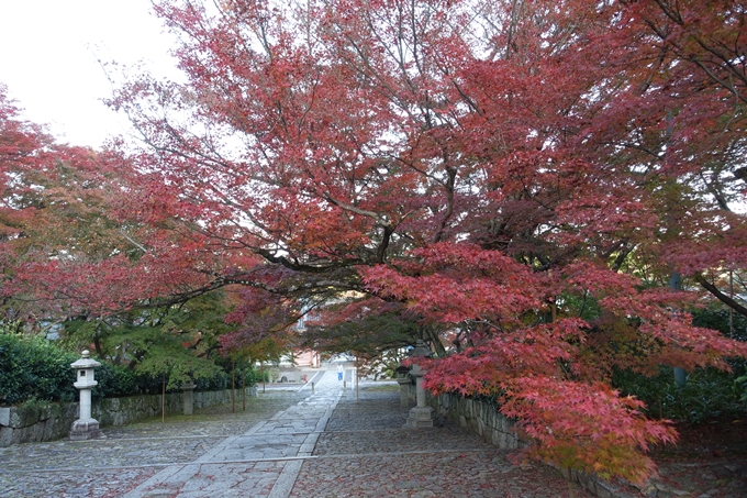 京都紅葉速報_10　No31