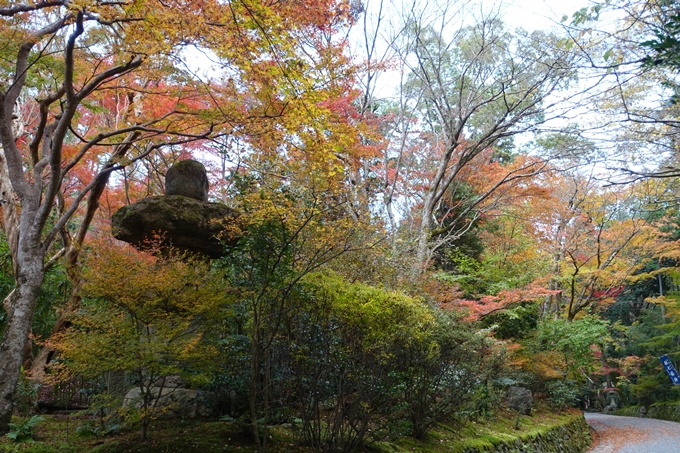 赤山禅院・紅葉　No4