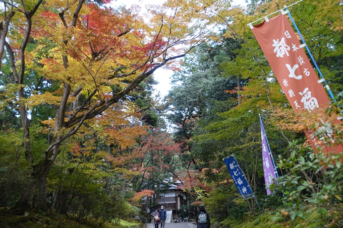 赤山禅院・紅葉　No6