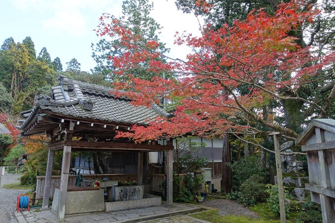 赤山禅院・紅葉　No9