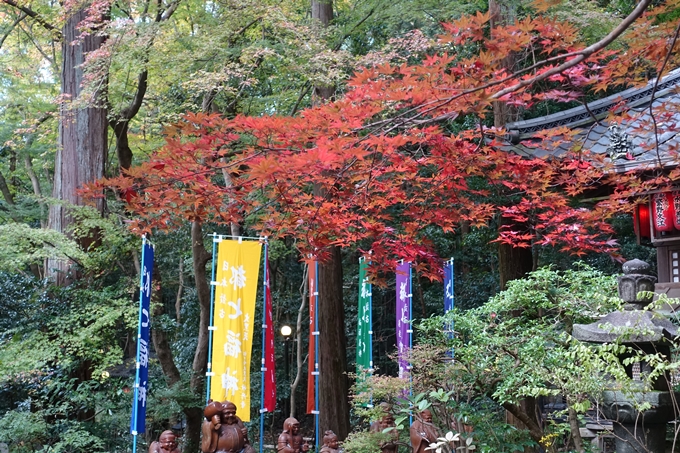 赤山禅院・紅葉　No24