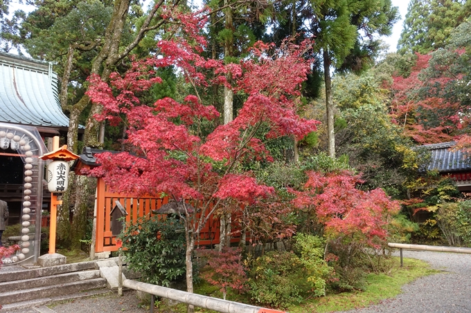 赤山禅院・紅葉　No14