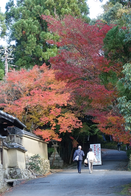 赤山禅院・紅葉　No2