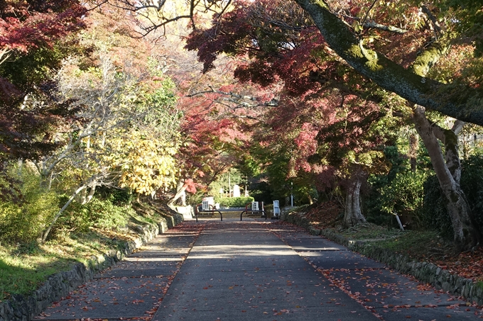 鷺森神社　No9