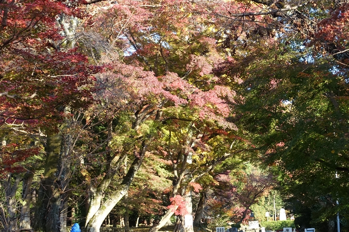 鷺森神社　No10