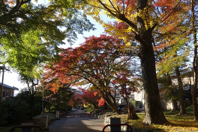 鷺森神社　No12