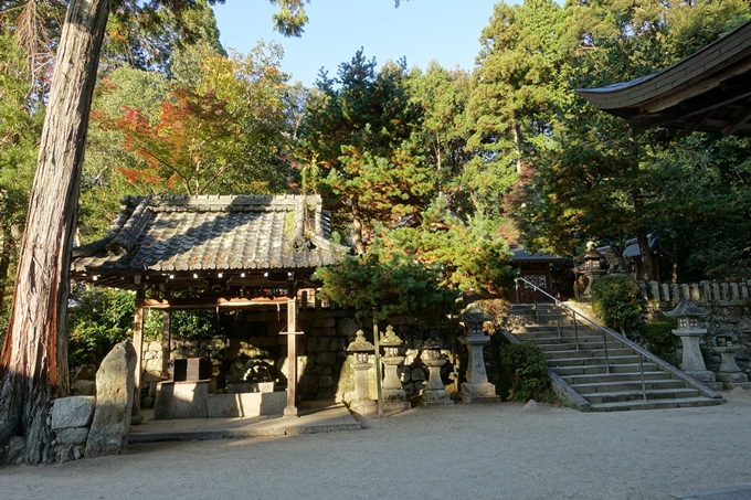 鷺森神社　No16