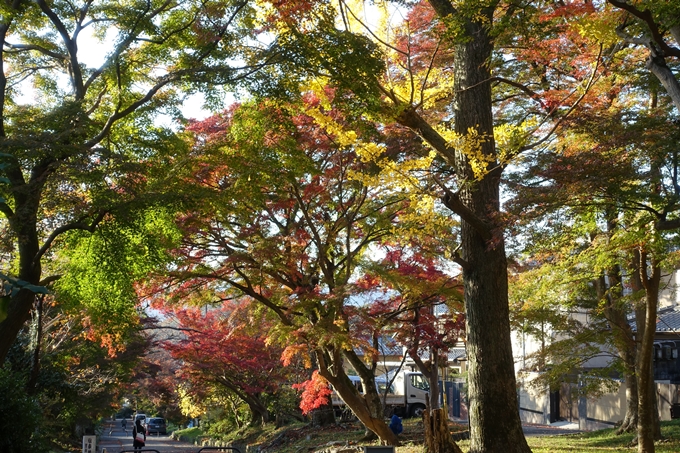 鷺森神社　No28