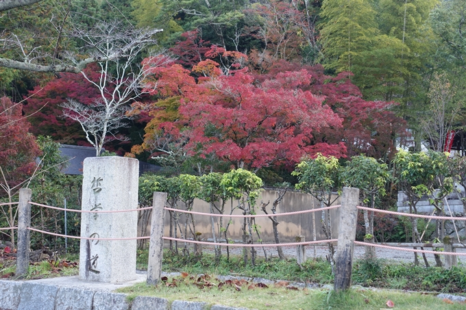 京都紅葉速報_13　No32