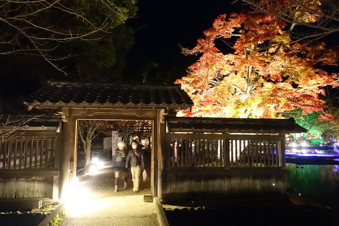 大覚寺　真紅の水鏡_No8