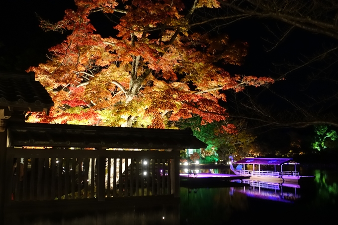 大覚寺　真紅の水鏡_No9