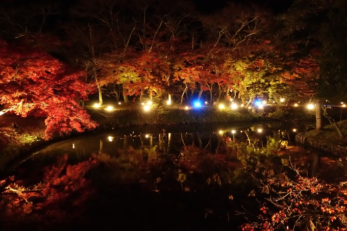 大覚寺　真紅の水鏡_No23