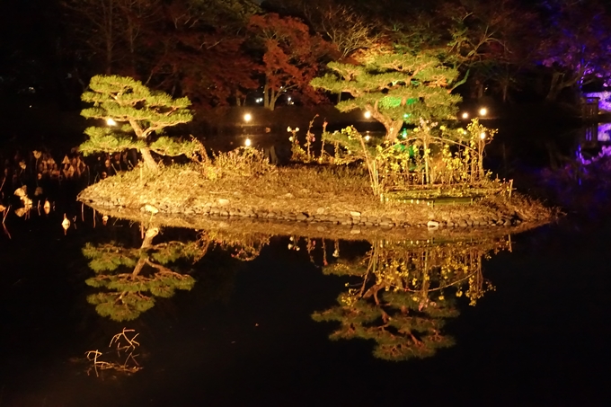 大覚寺　真紅の水鏡_No37