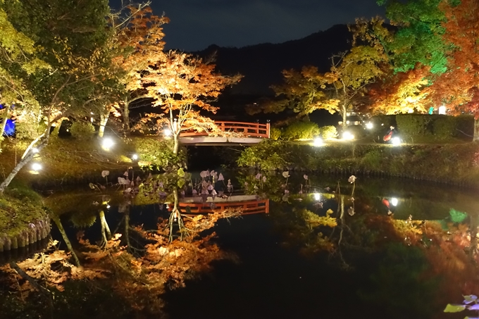 大覚寺　真紅の水鏡_No38