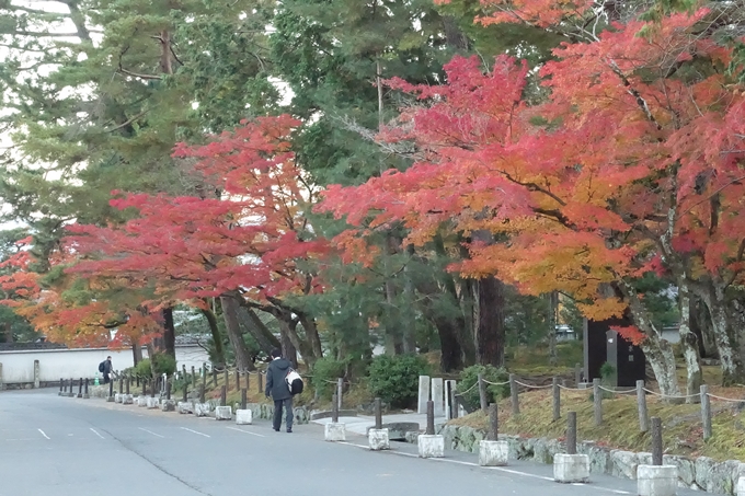 京都紅葉速報_14　No8