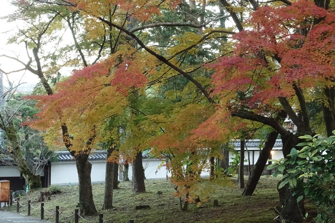 京都紅葉速報_14　No18