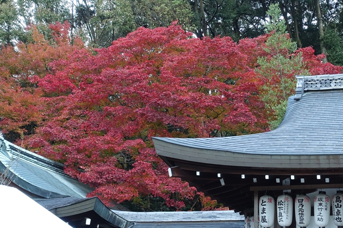 京都紅葉速報_14　No30