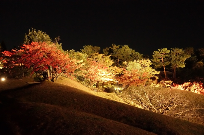 梅小路公園　紅葉まつり　No17