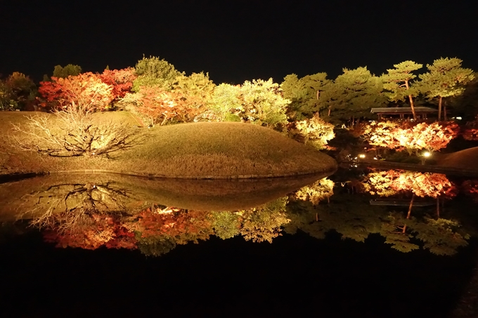 梅小路公園　紅葉まつり　No19