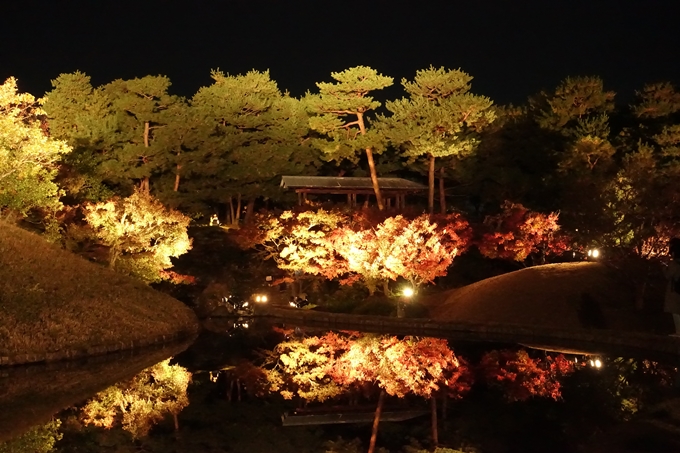 梅小路公園　紅葉まつり　No20