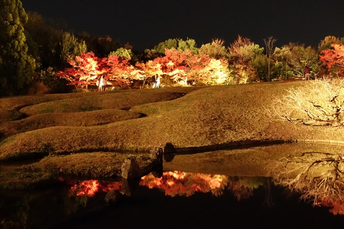 梅小路公園　紅葉まつり　No21