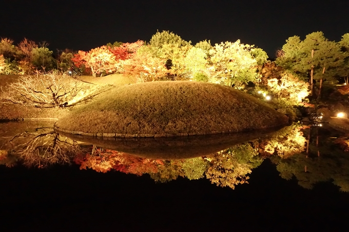 梅小路公園　紅葉まつり　No22