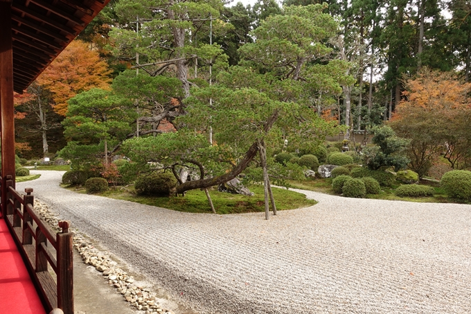 曼殊院_2017紅葉　No15