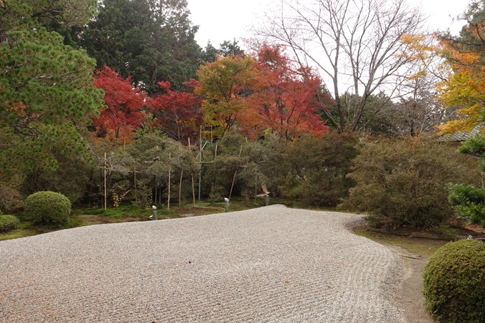 曼殊院_2017紅葉　No16