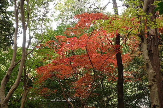 鷺森神社　No40