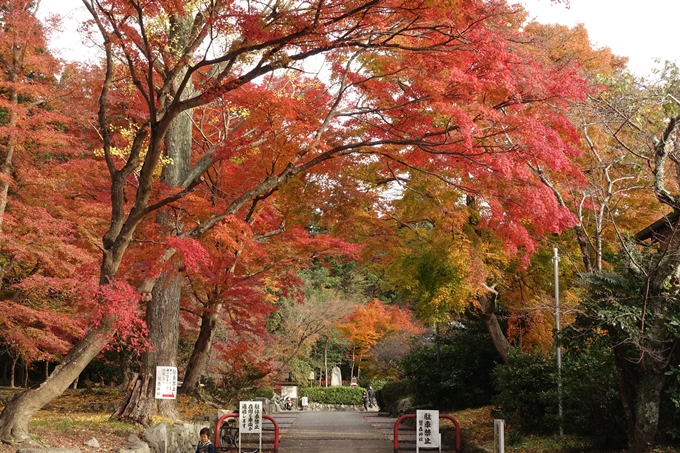 鷺森神社　No38