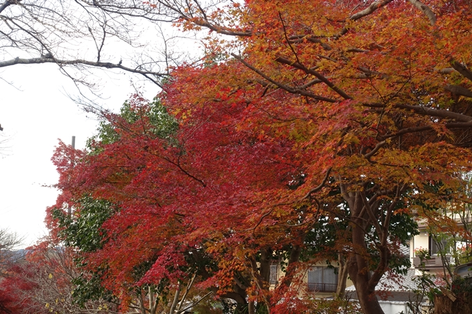 鷺森神社　No37