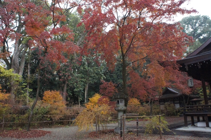 京都御苑　紅葉　No4